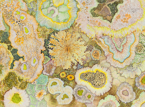 lichen drawing
