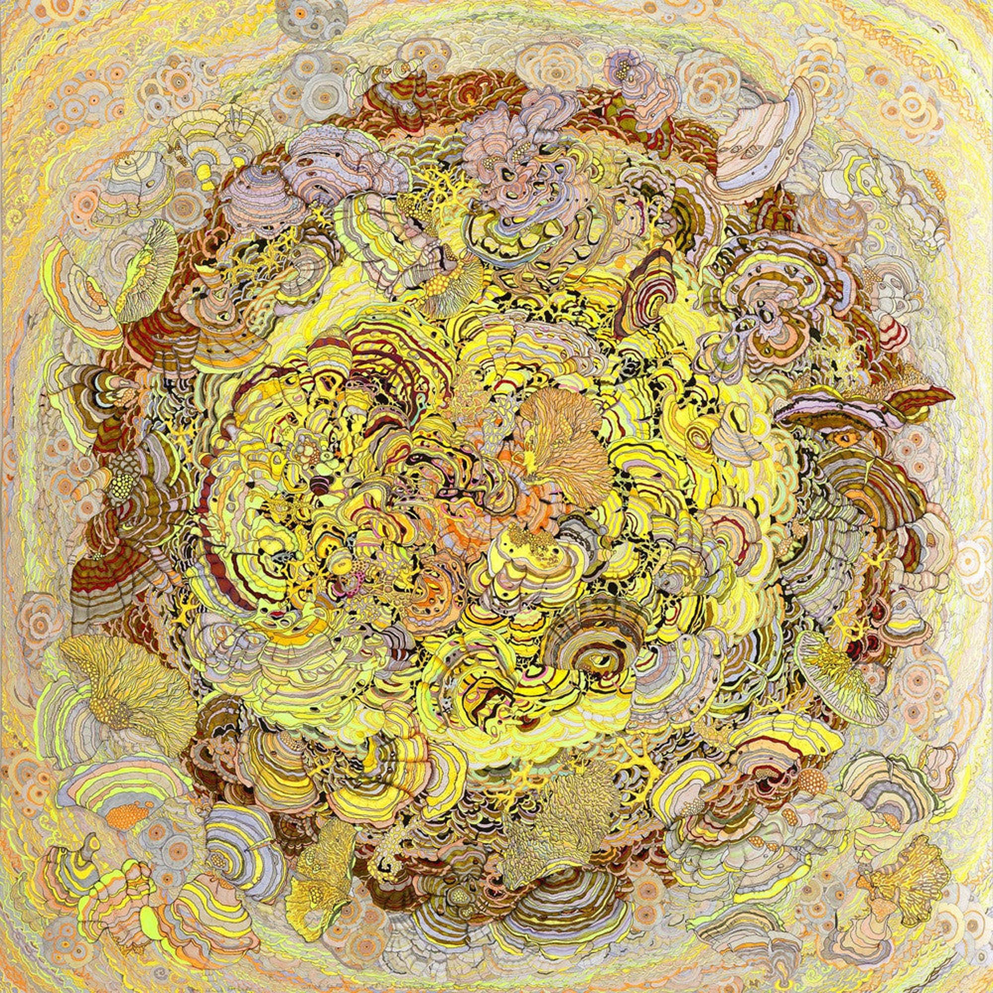 A Flash of Consciousness Illuminates the Polypore World