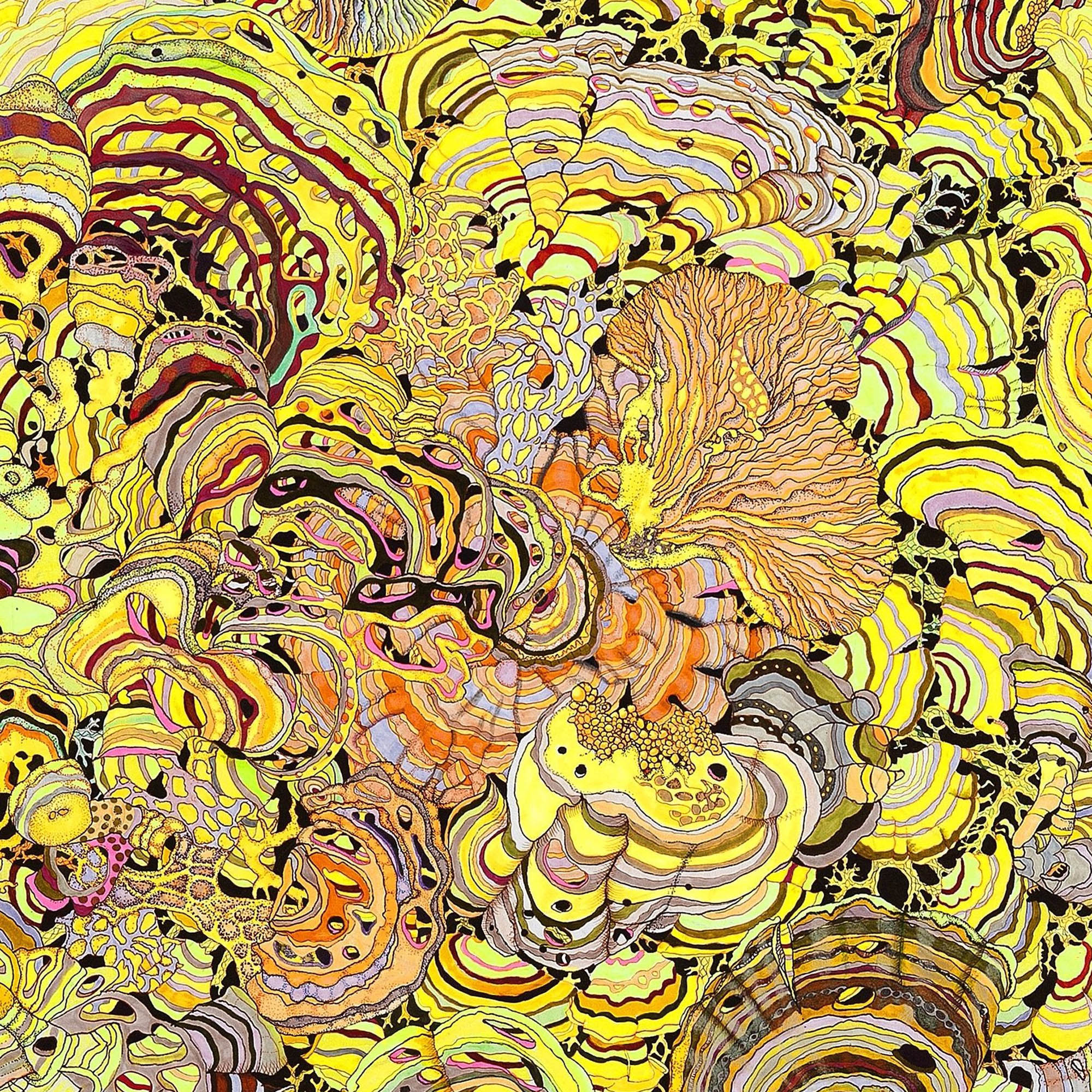 A Flash of Consciousness Illuminates the Polypore World - Image 2