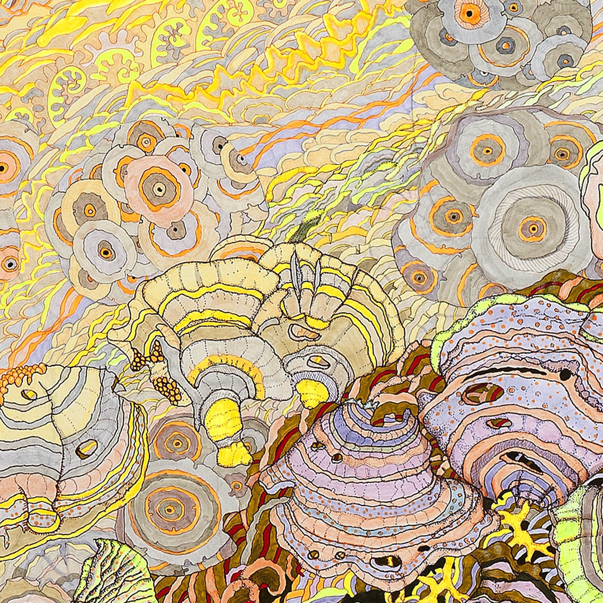 A Flash of Consciousness Illuminates the Polypore World - Image 3