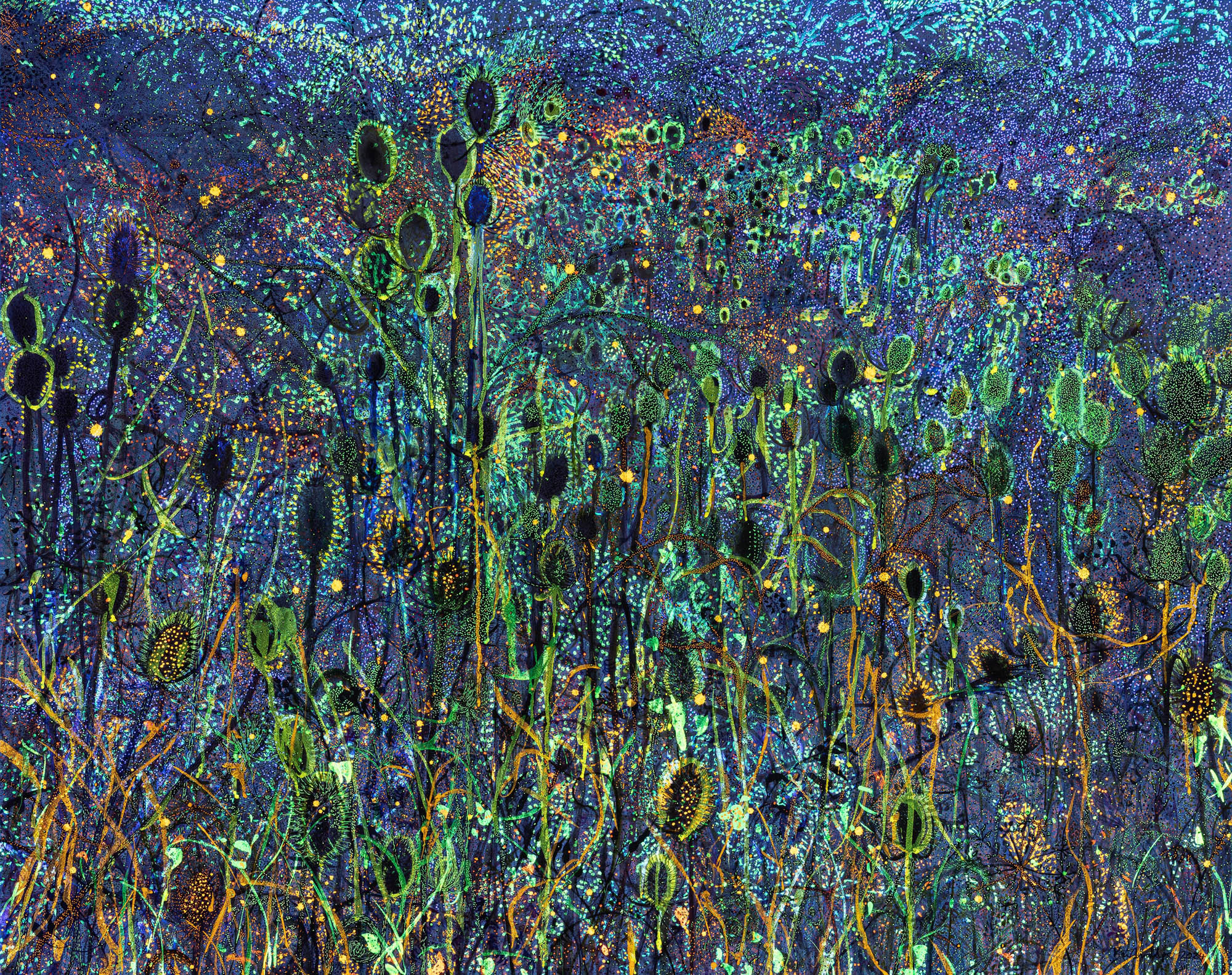 claire_burbridge_fluorescence_fine_art_print