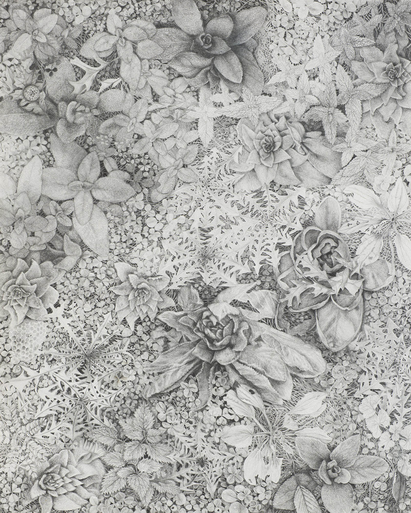 Graphite Garden