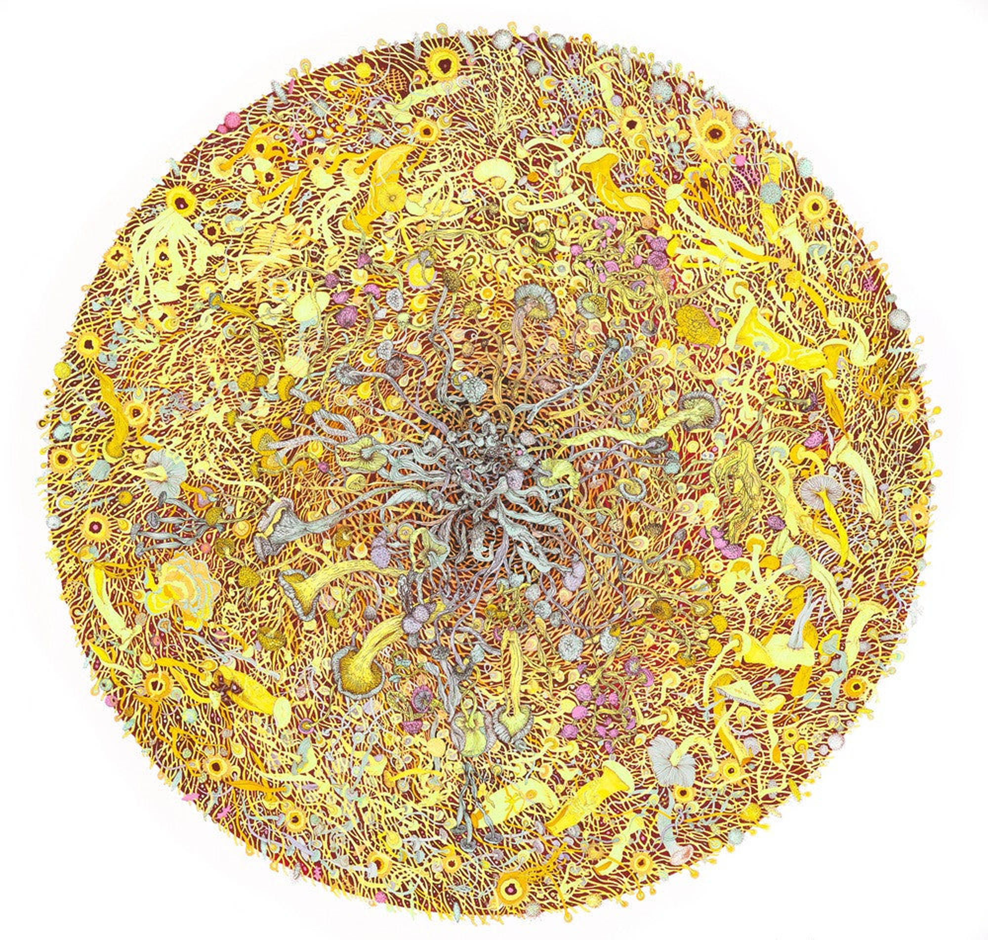 Mycelium Universe 2 (Fission)