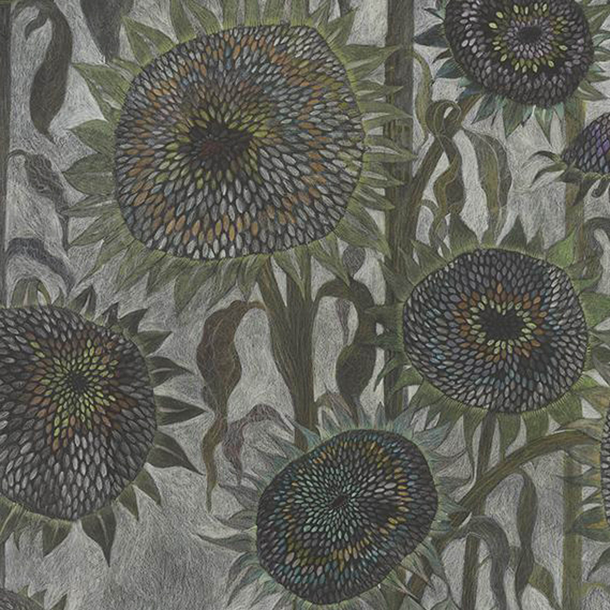 SEED HEADS