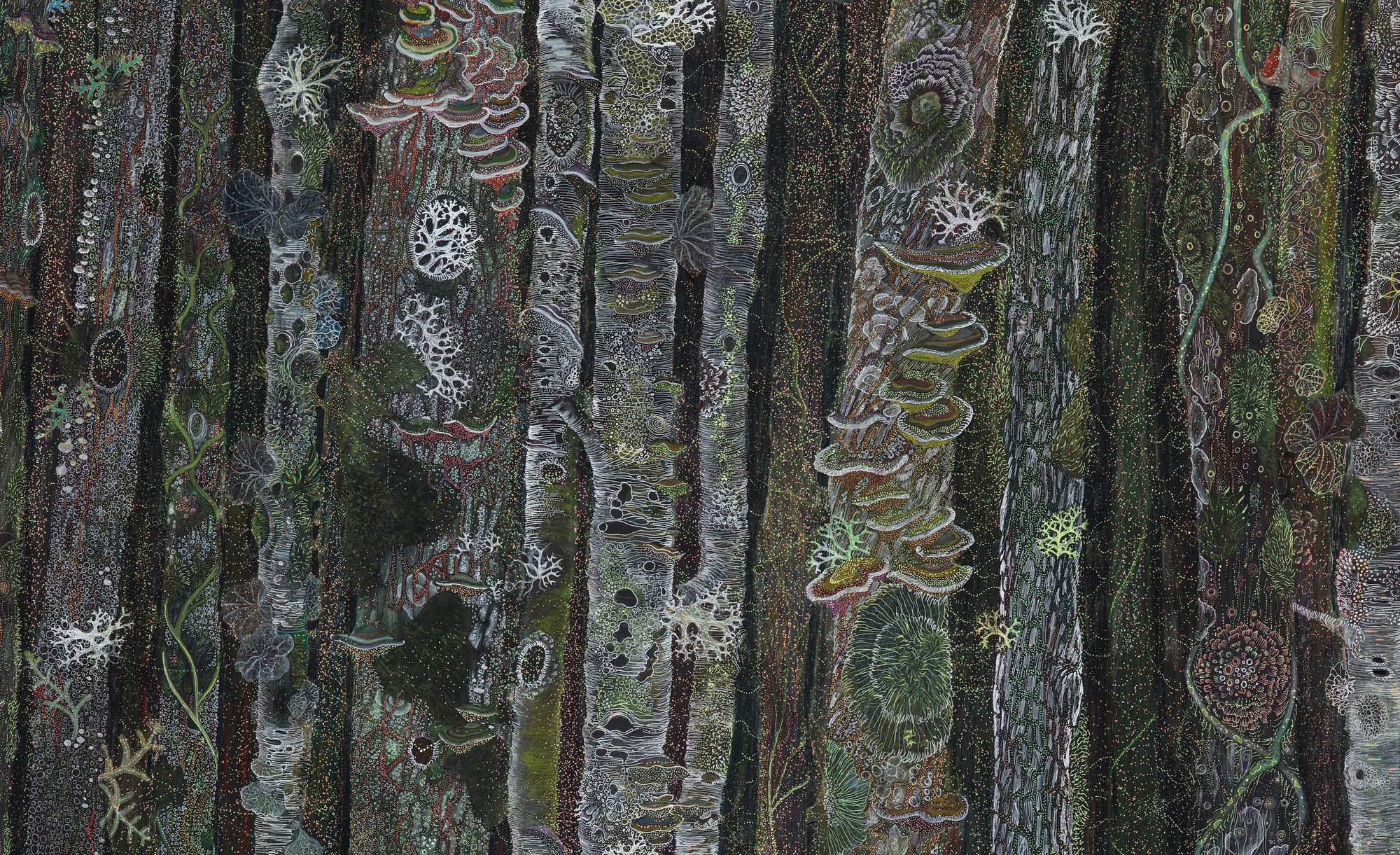 The Nocturnal Life of Trees - Image 2