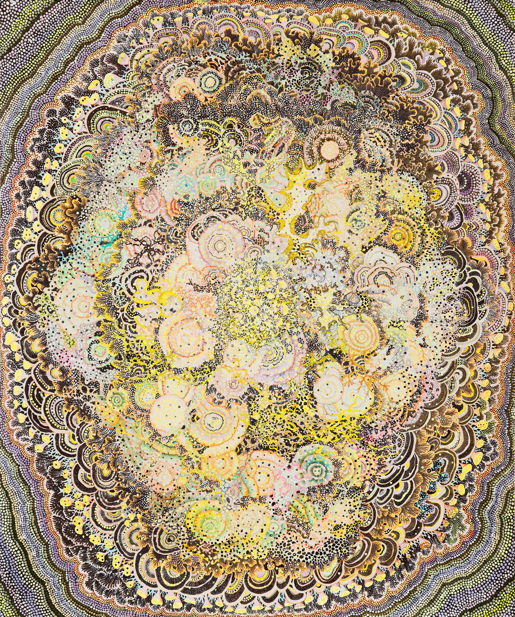 Thorn Bush dreaming of being a Rose