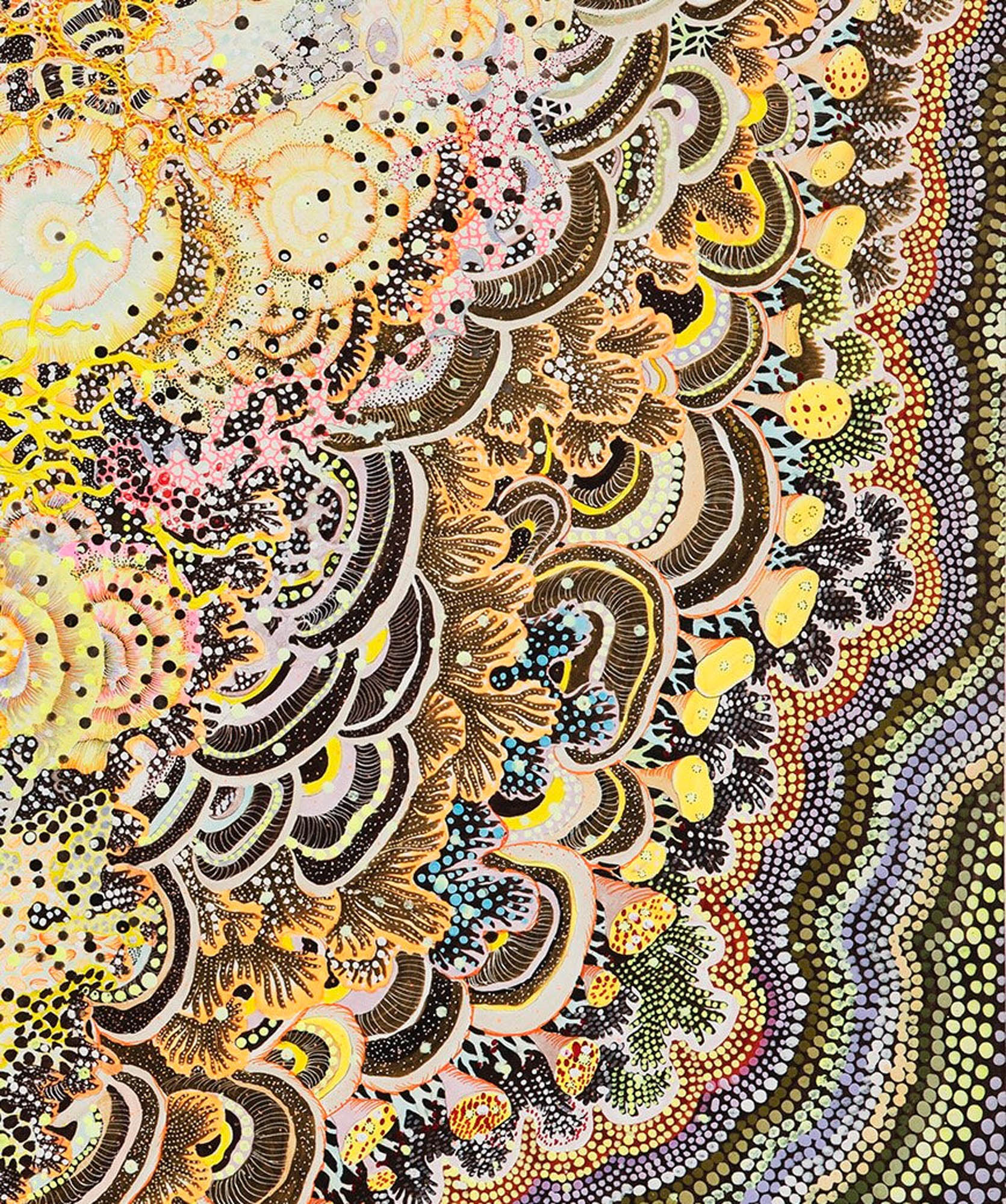 Thorn Bush dreaming of being a Rose - Image 2