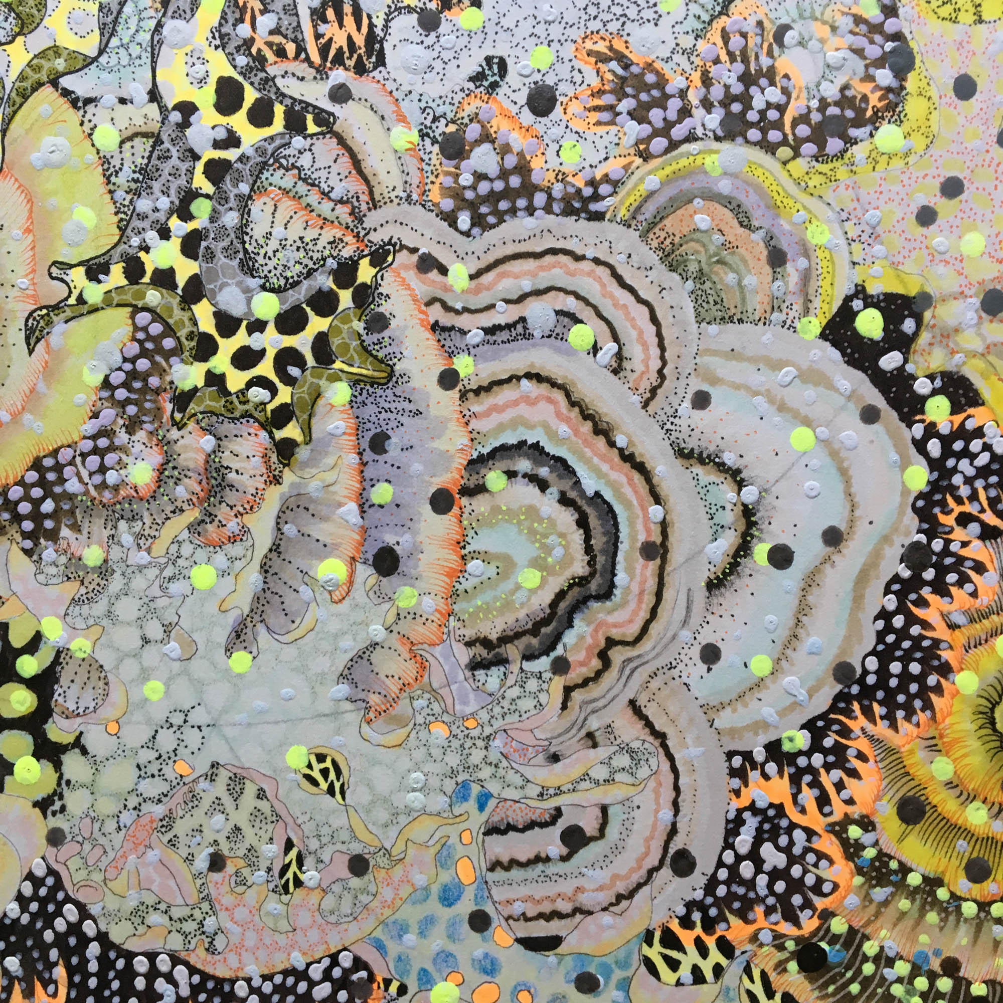 Thorn Bush dreaming of being a Rose - Image 5