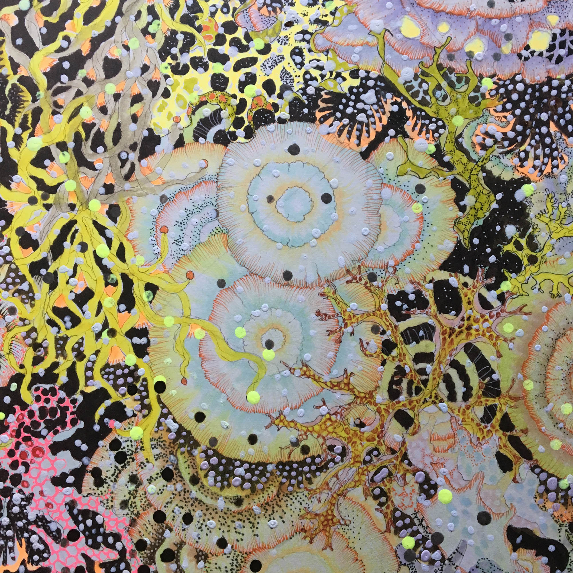 Thorn Bush dreaming of being a Rose - Image 6